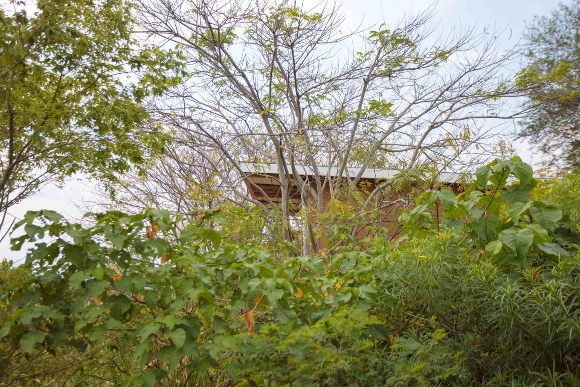 Lake Mwamba Lodge Kasenda Exteriör bild